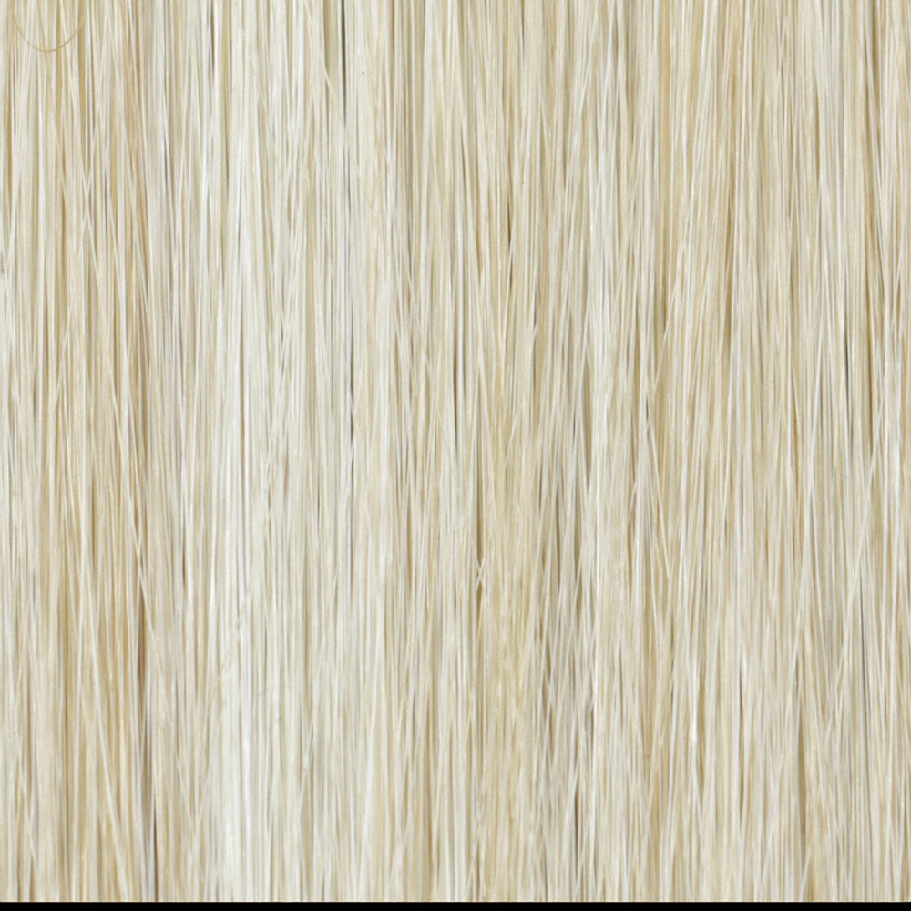 223/23C Light Golden Blonde