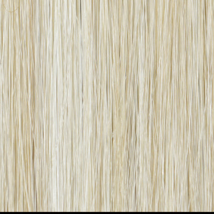 223/23C Light Golden Blonde