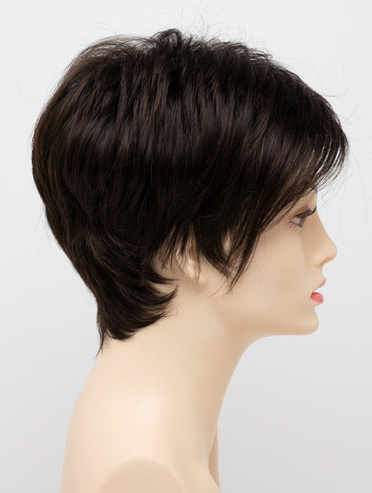Shari Large Wig By Envy I READY-TO-WEAR SYNTHETIC
