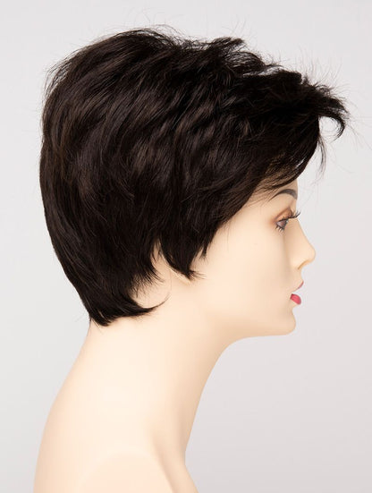 Raven Wig By Envy I READY-TO-WEAR SYNTHETIC
